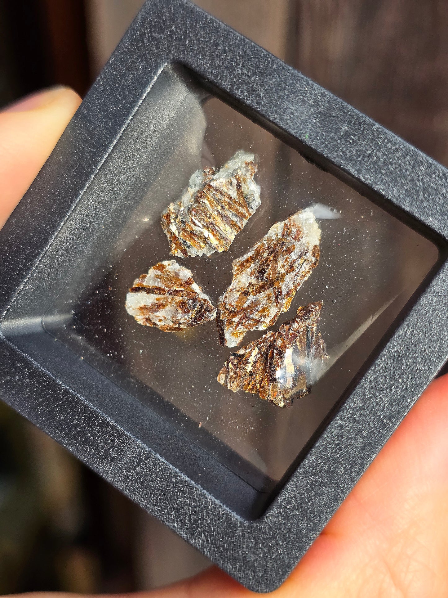 Boîte vitrine contenant de l'Astrophyllite de Russie (à choisir)