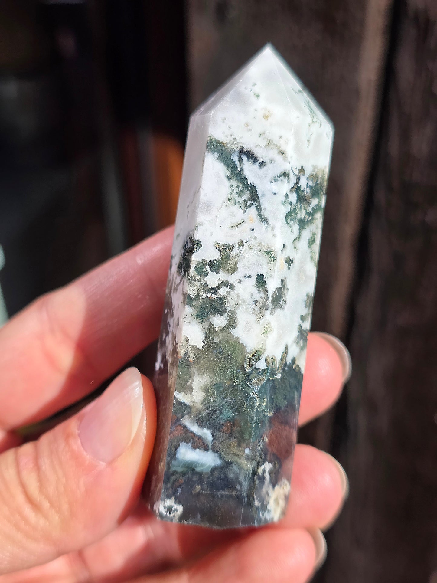Pointe Agate arbre A10