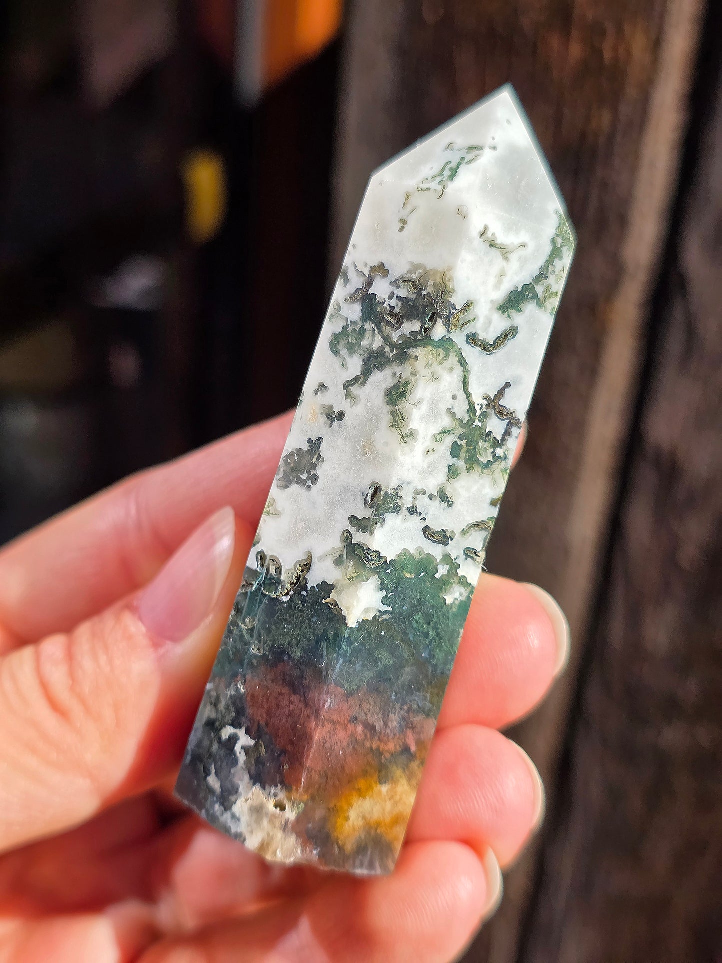 Pointe Agate arbre A10