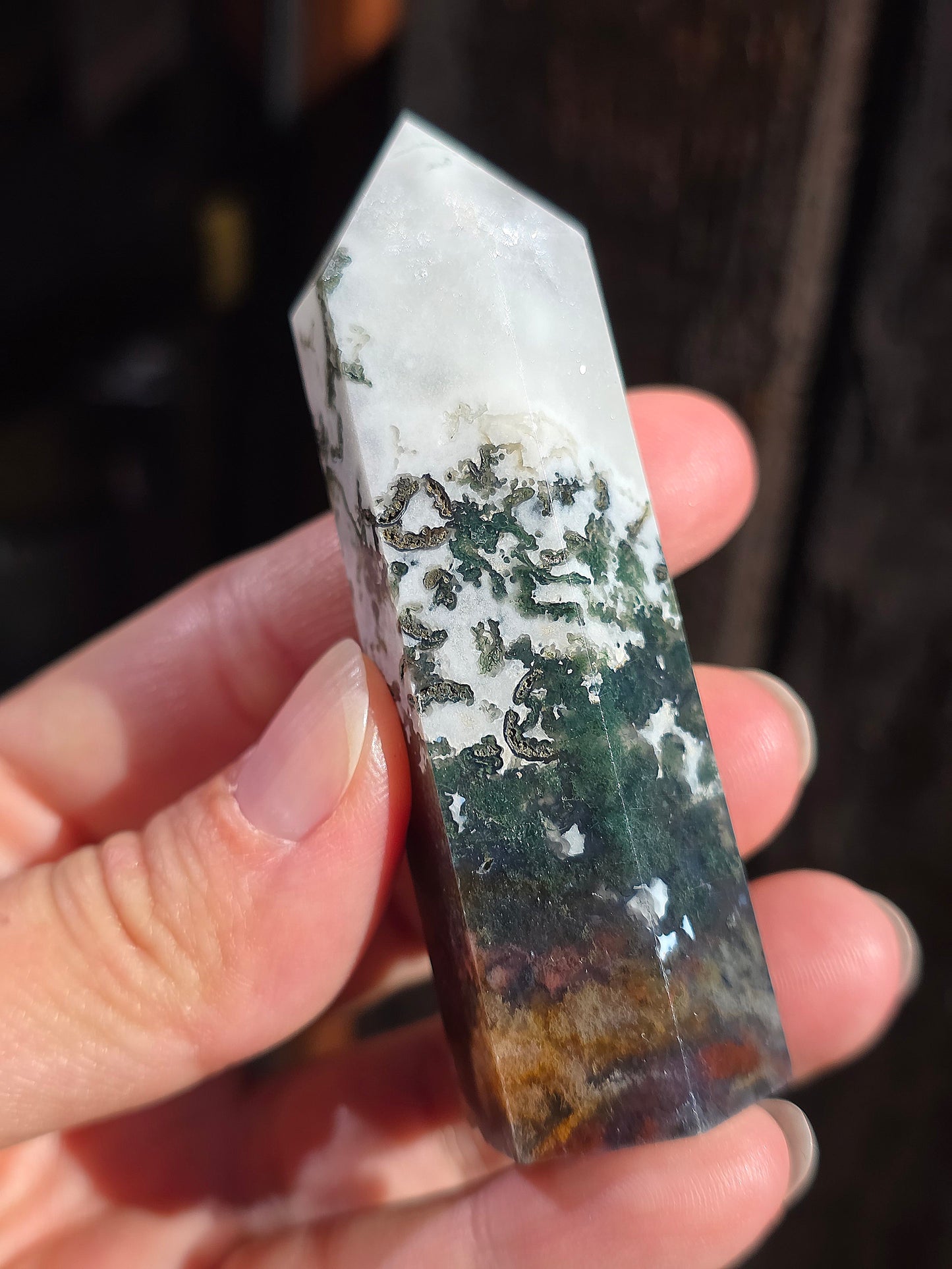 Pointe Agate arbre A10
