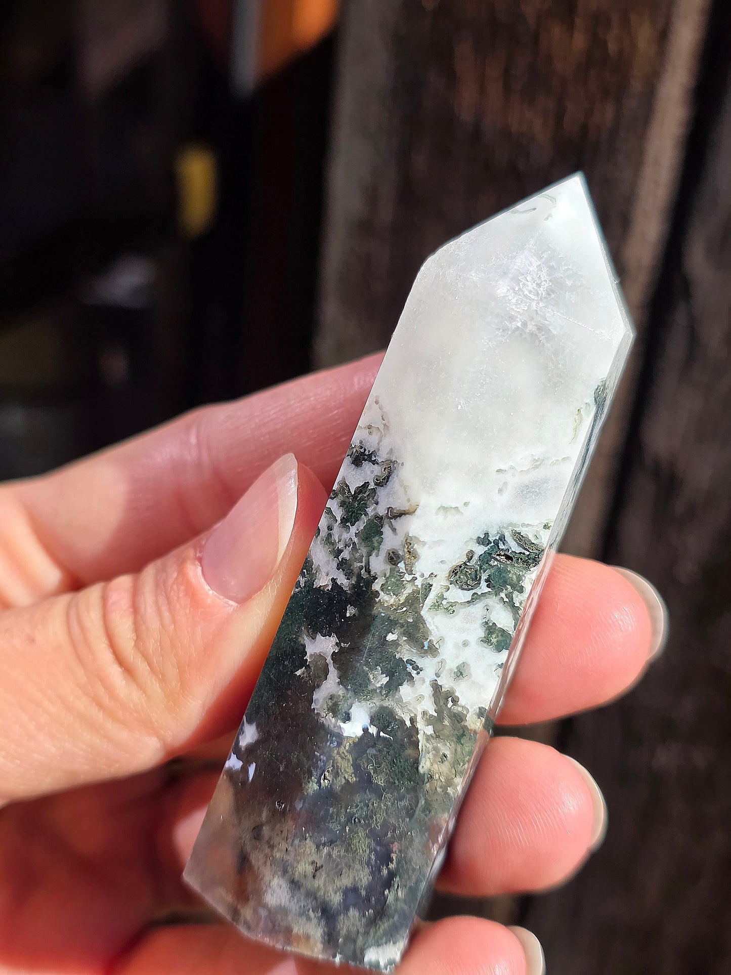 Pointe Agate arbre A10