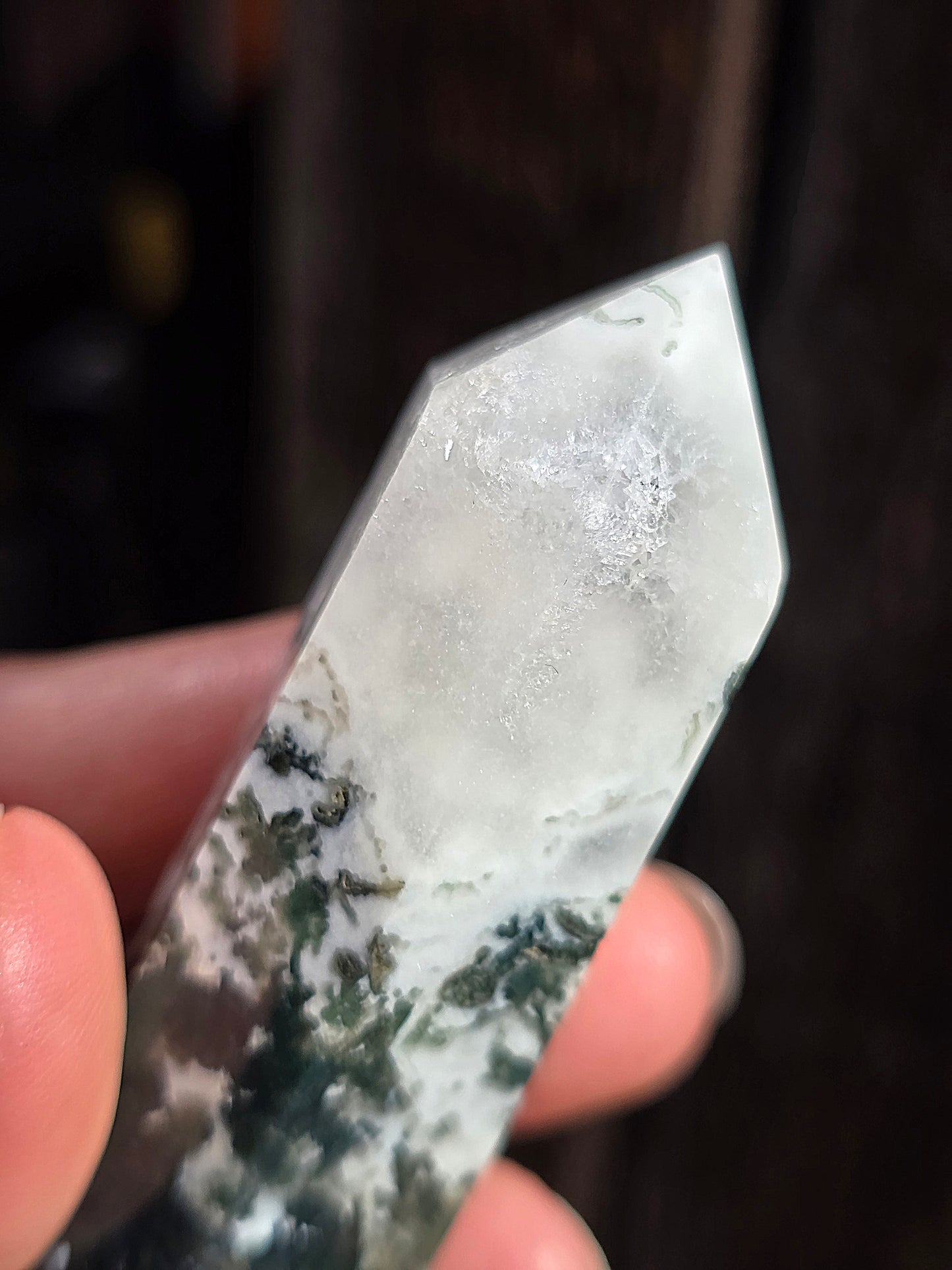Pointe Agate arbre A10