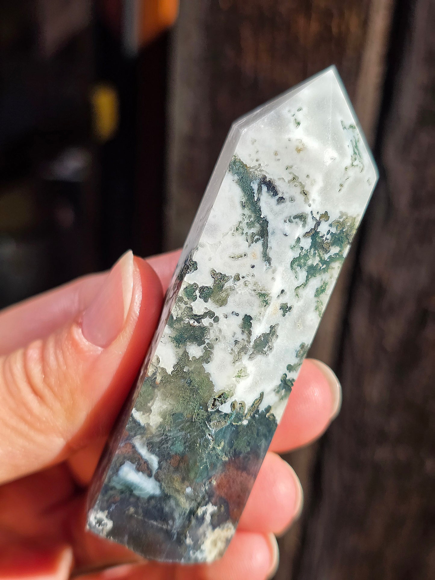 Pointe Agate arbre A10