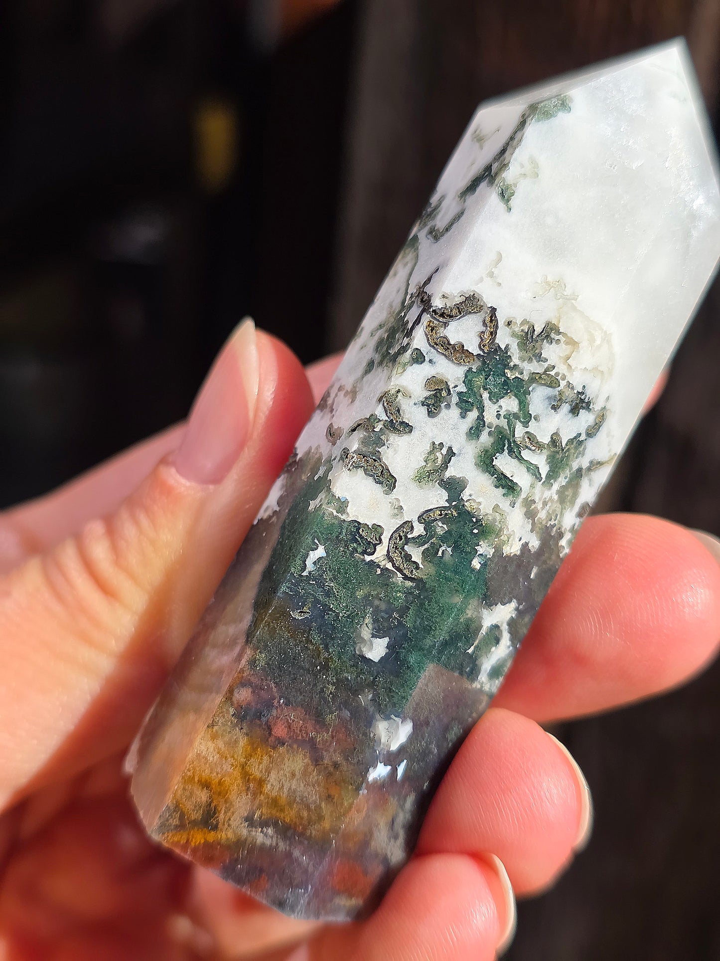 Pointe Agate arbre A10