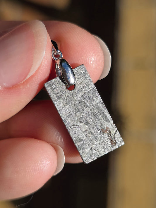 Pendentif en Météorite Sidérite M4