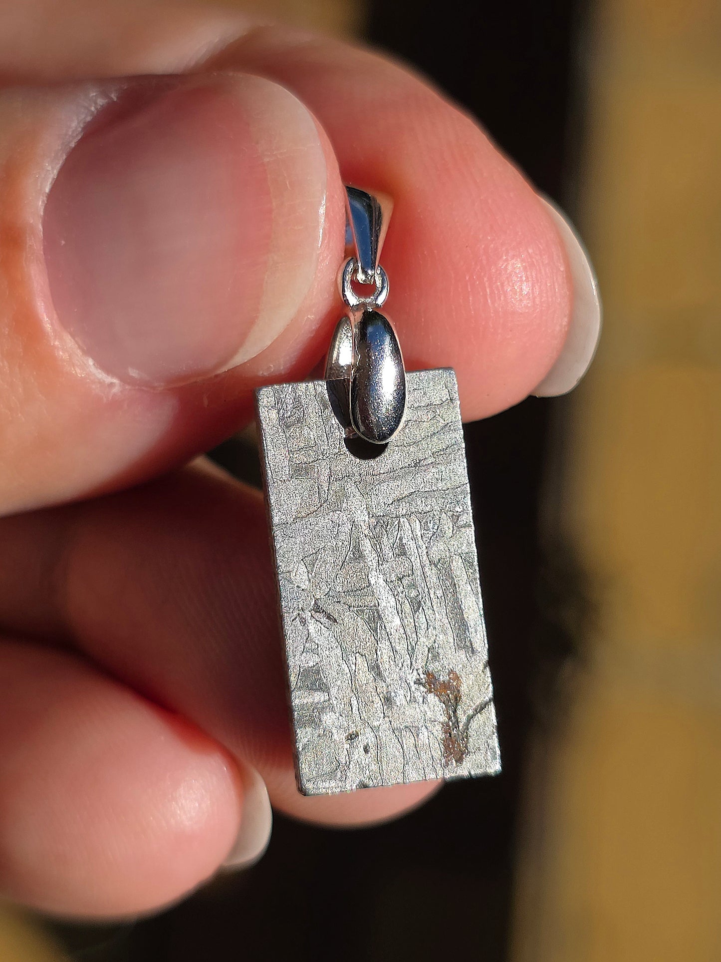 Pendentif en Météorite Sidérite M4