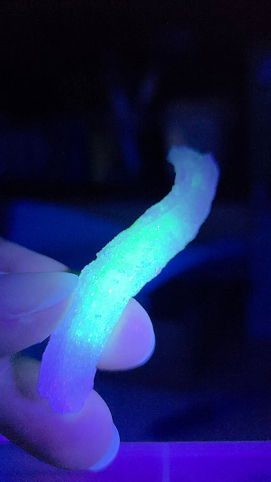 Gypse Rams Horn de Chine GY6(réactif aux UV)