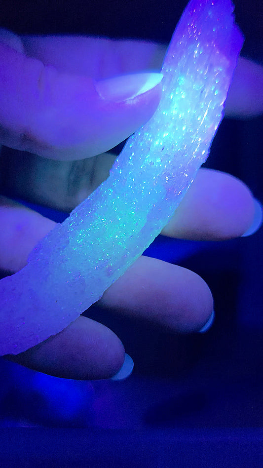 Gypse Rams Horn de Chine GY7 (réactif aux UV)