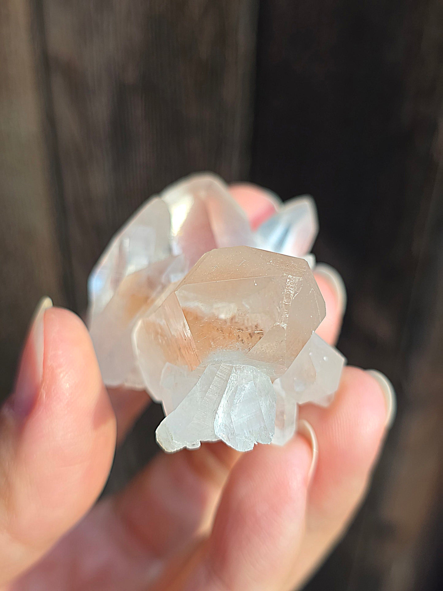 Quartz Himalaya (Samadhi) n°2