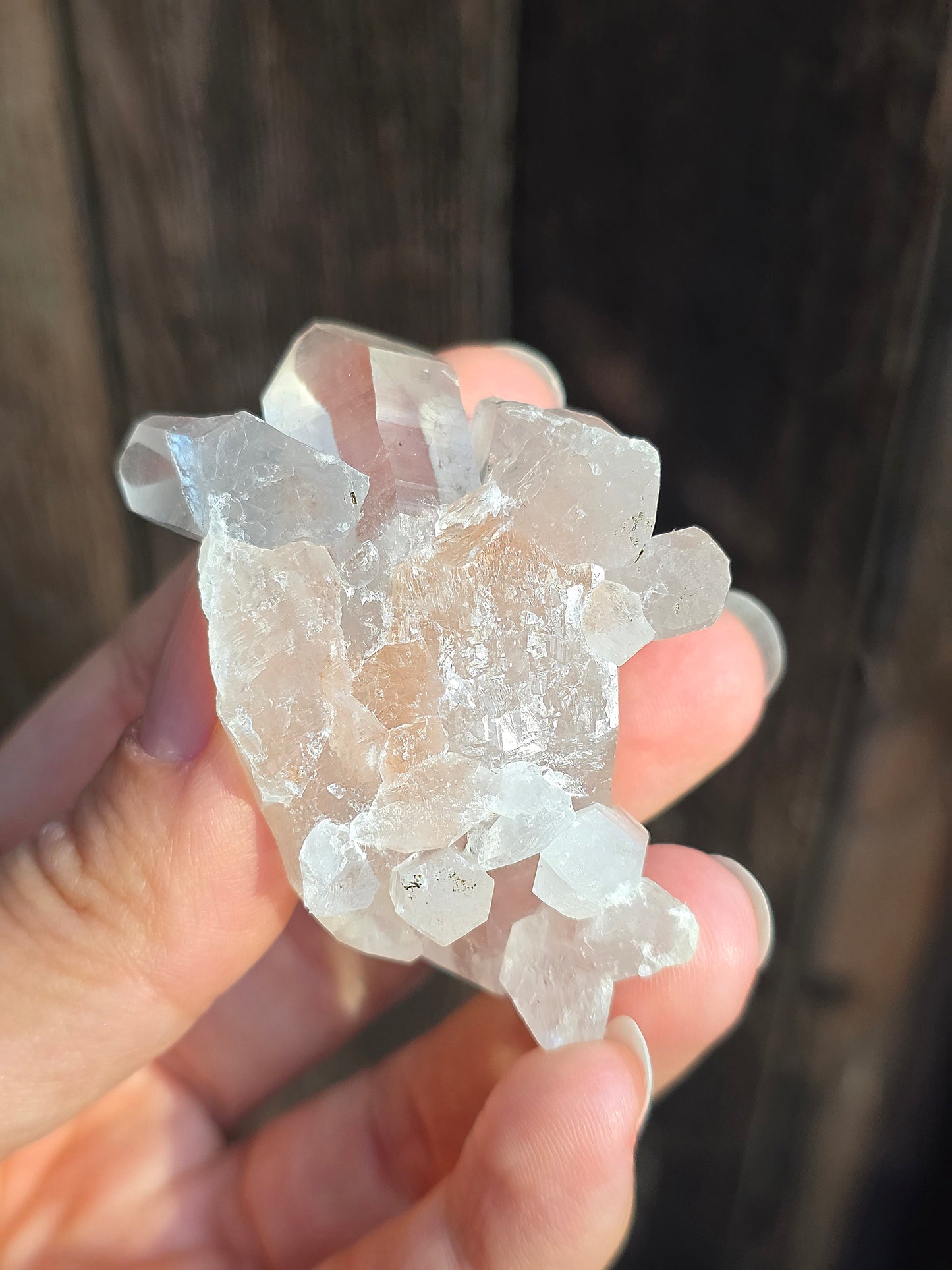 Quartz Himalaya (Samadhi) n°2