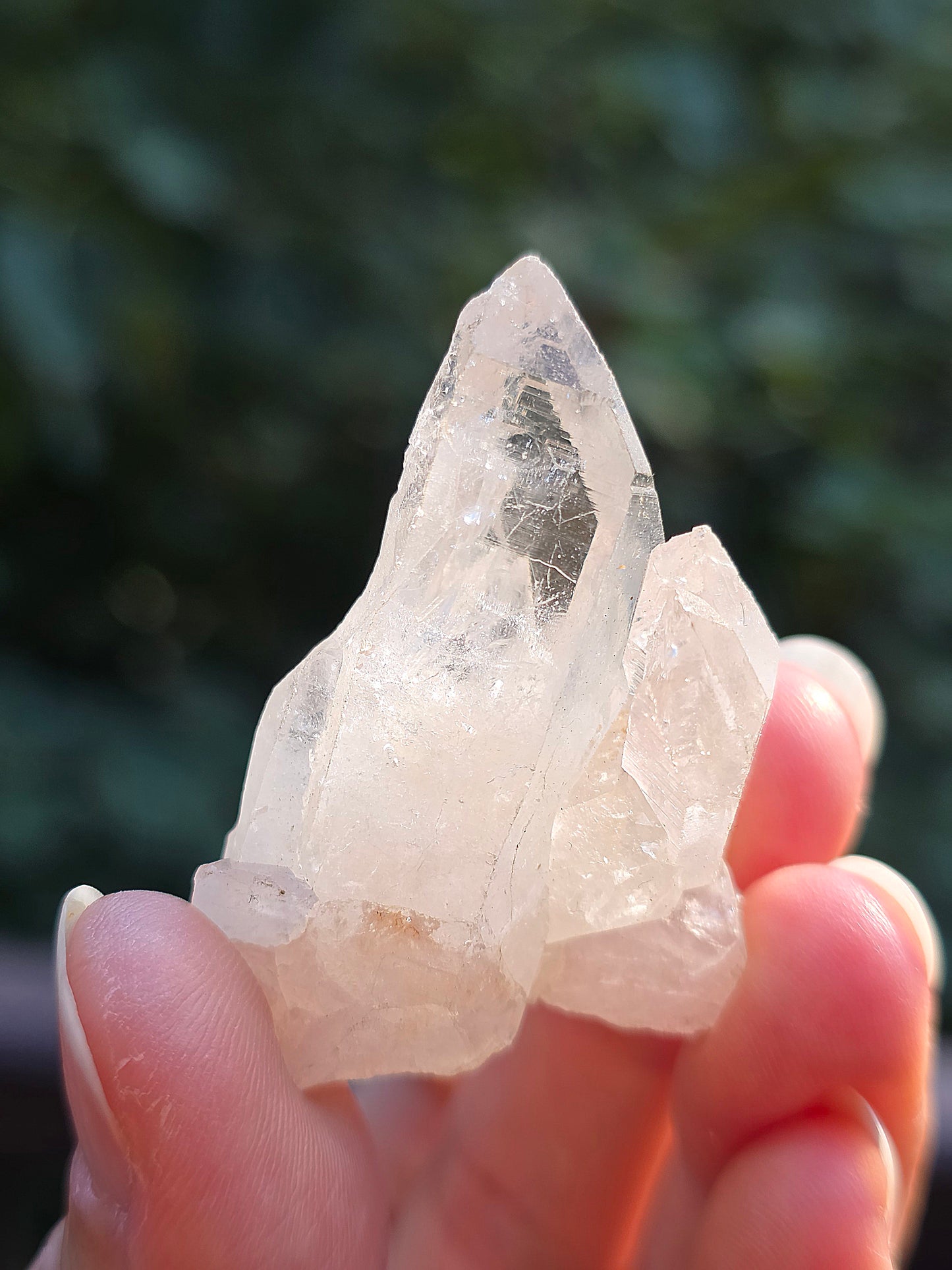 Quartz Himalaya (Samadhi) n°4