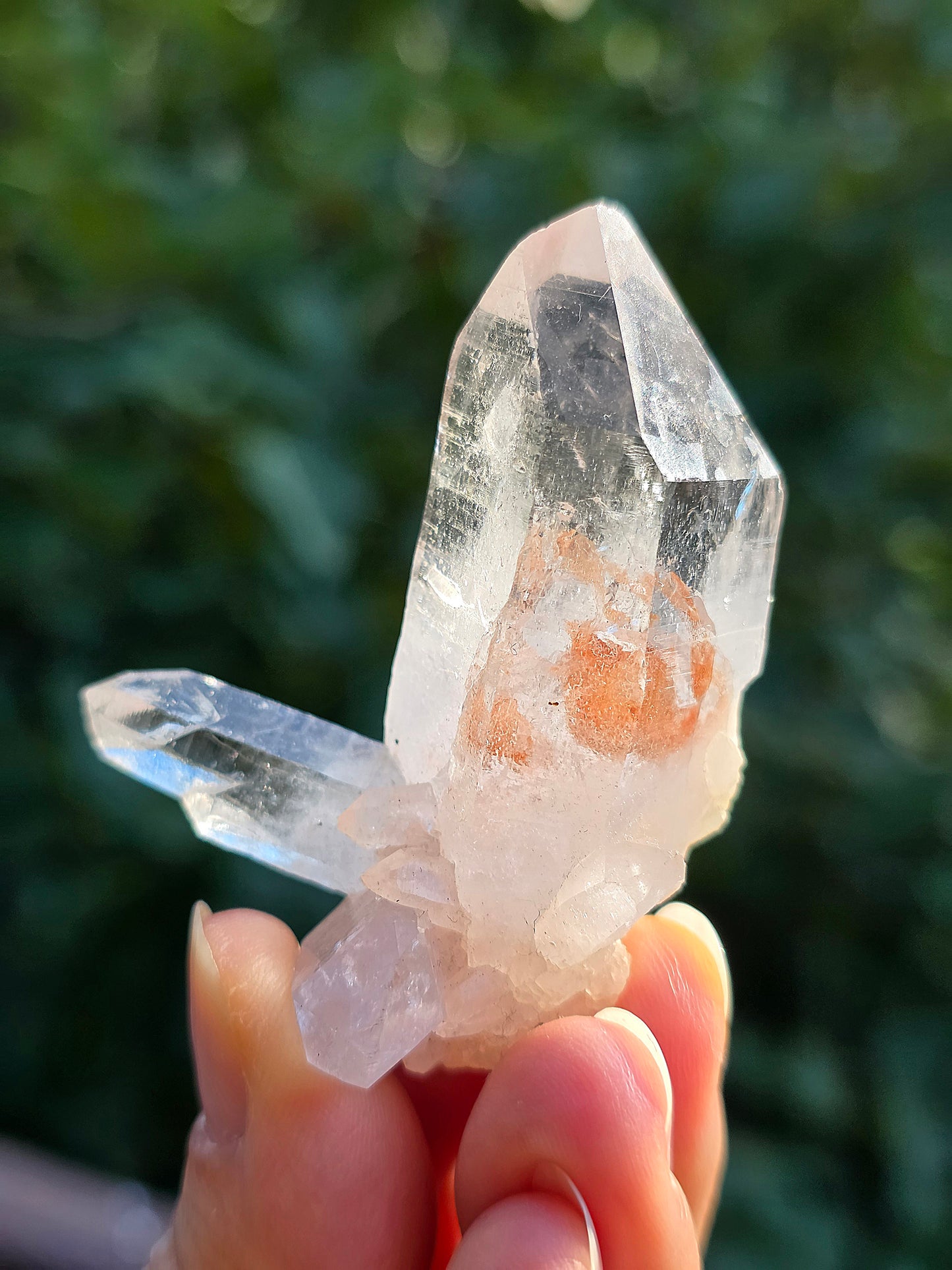 Quartz Himalaya (Samadhi) n°5