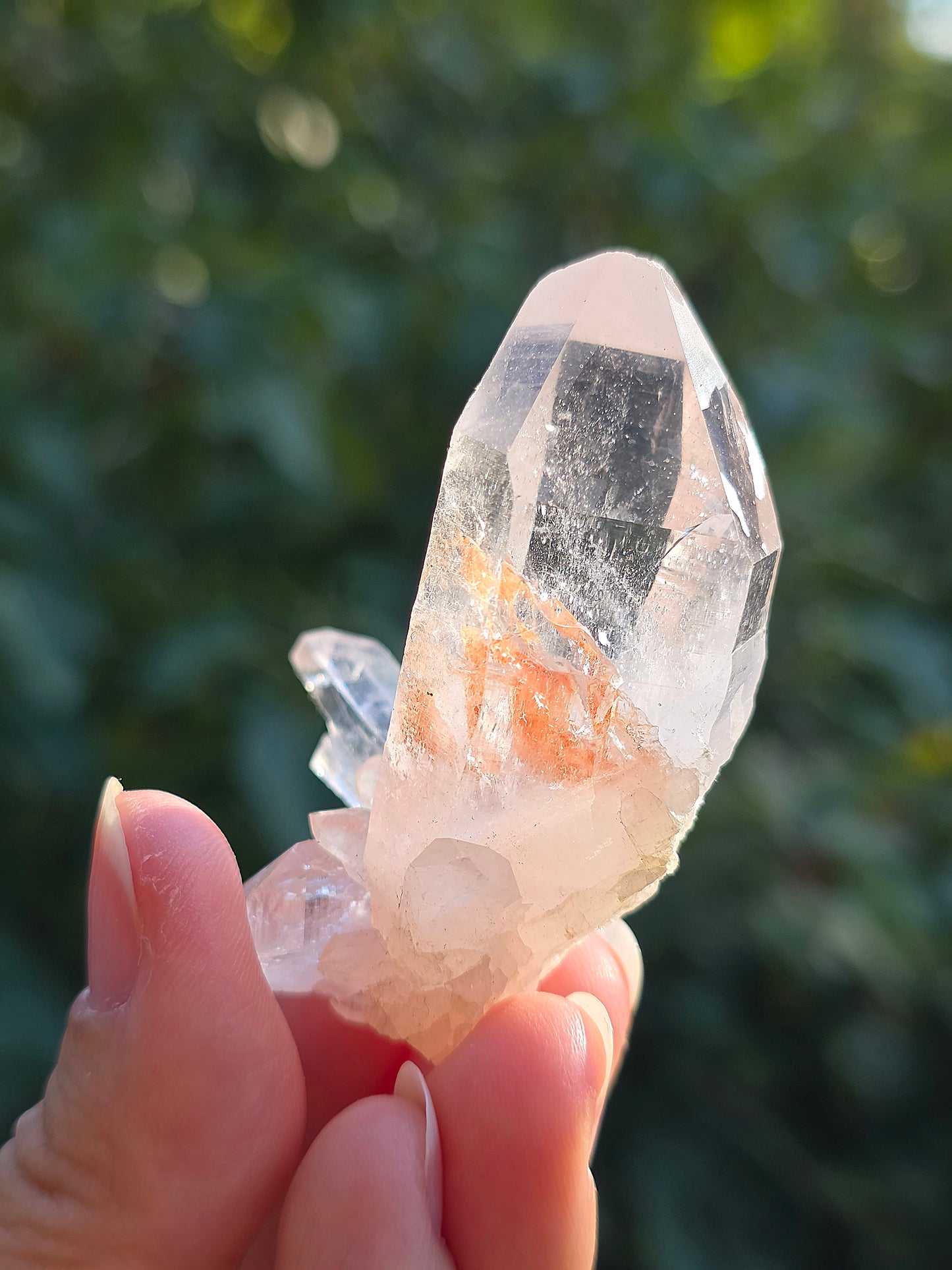 Quartz Himalaya (Samadhi) n°5