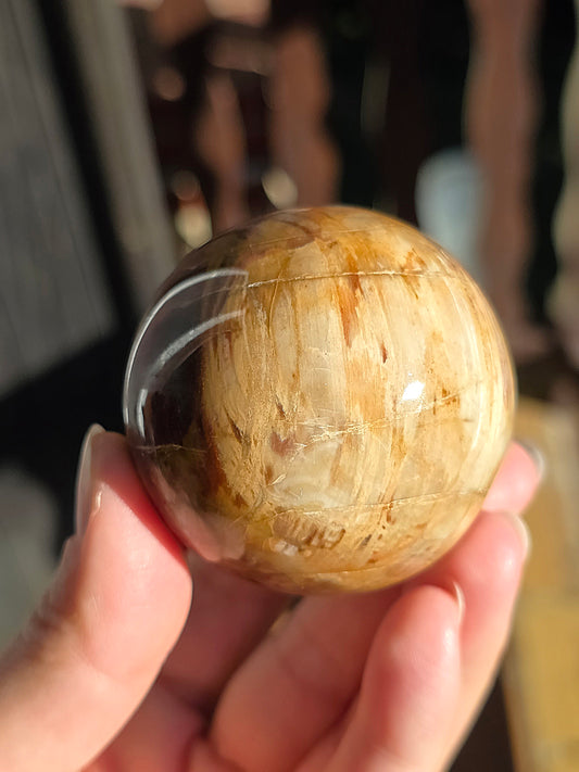 Sphère Bois Fossile