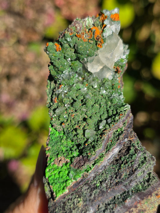 Conichalcite du Mexique