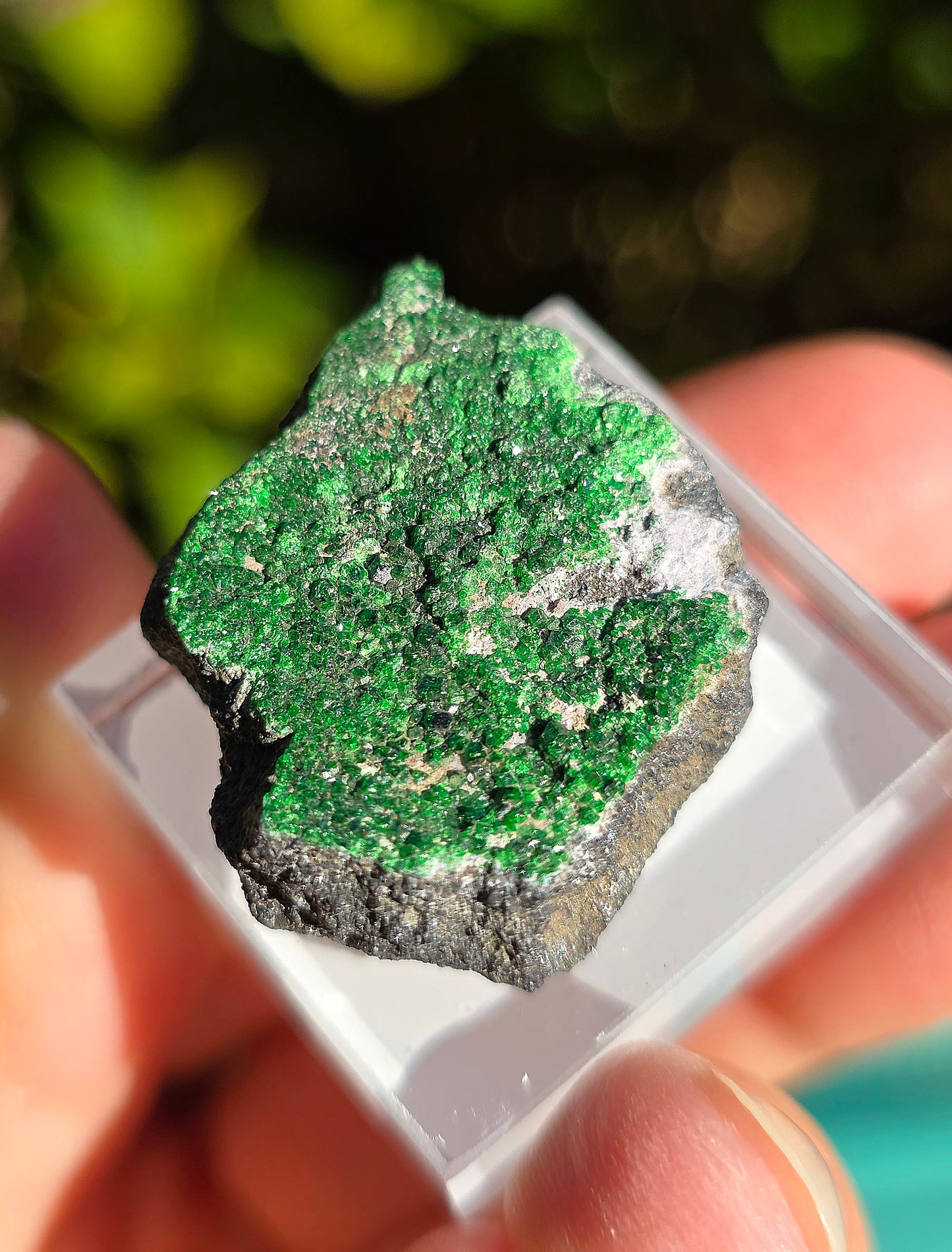 Grenat Uvarovite de Russie n°2