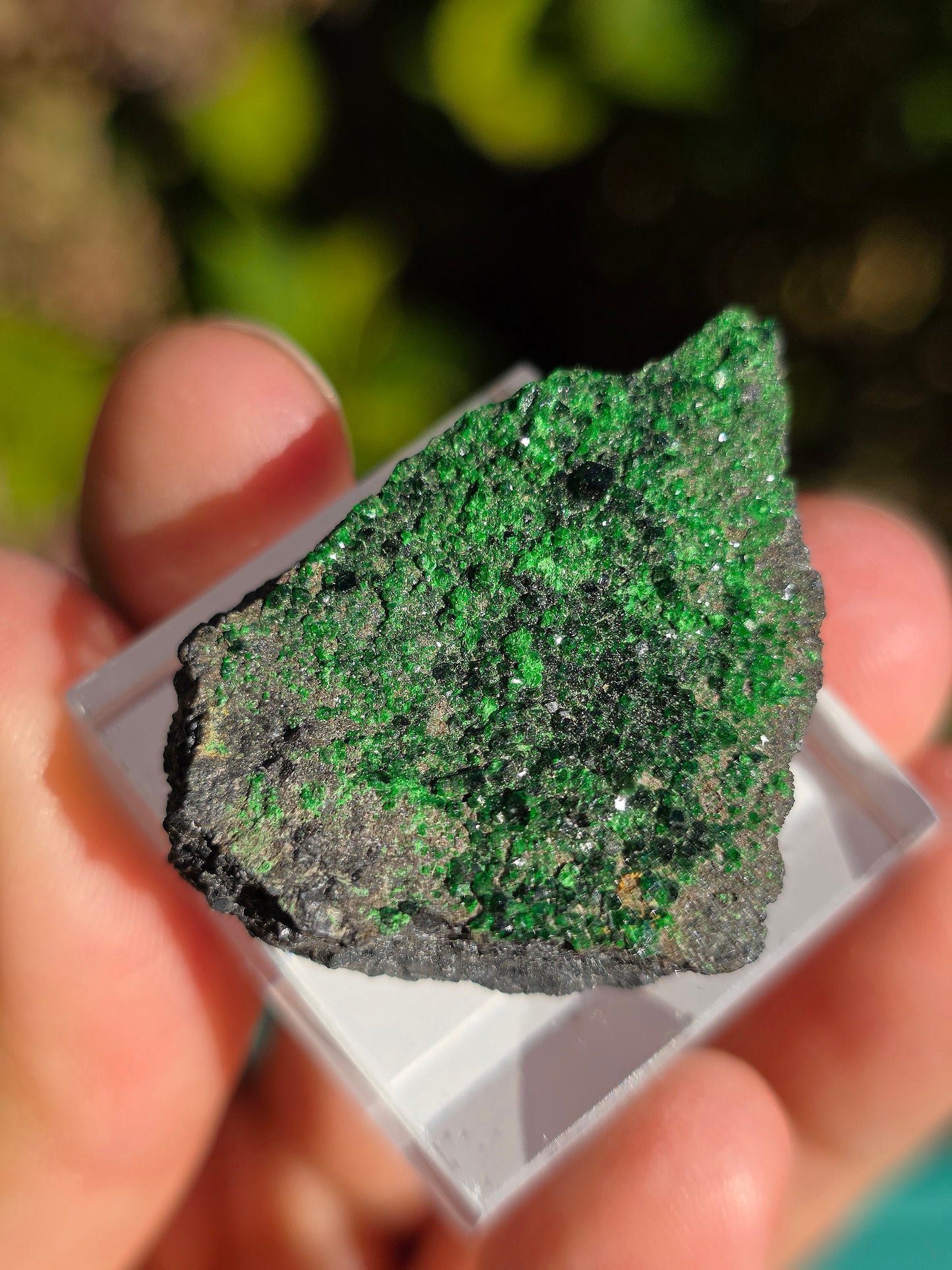 Grenat Uvarovite de Russie n°6