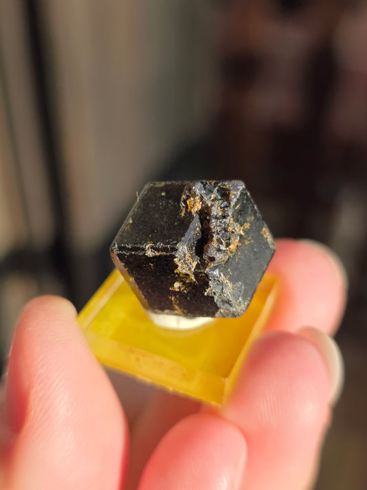 Grenat Mélanite du Mali n°4