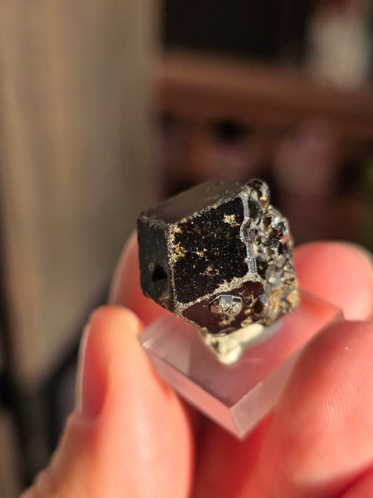 Grenat Mélanite du Mali n°5