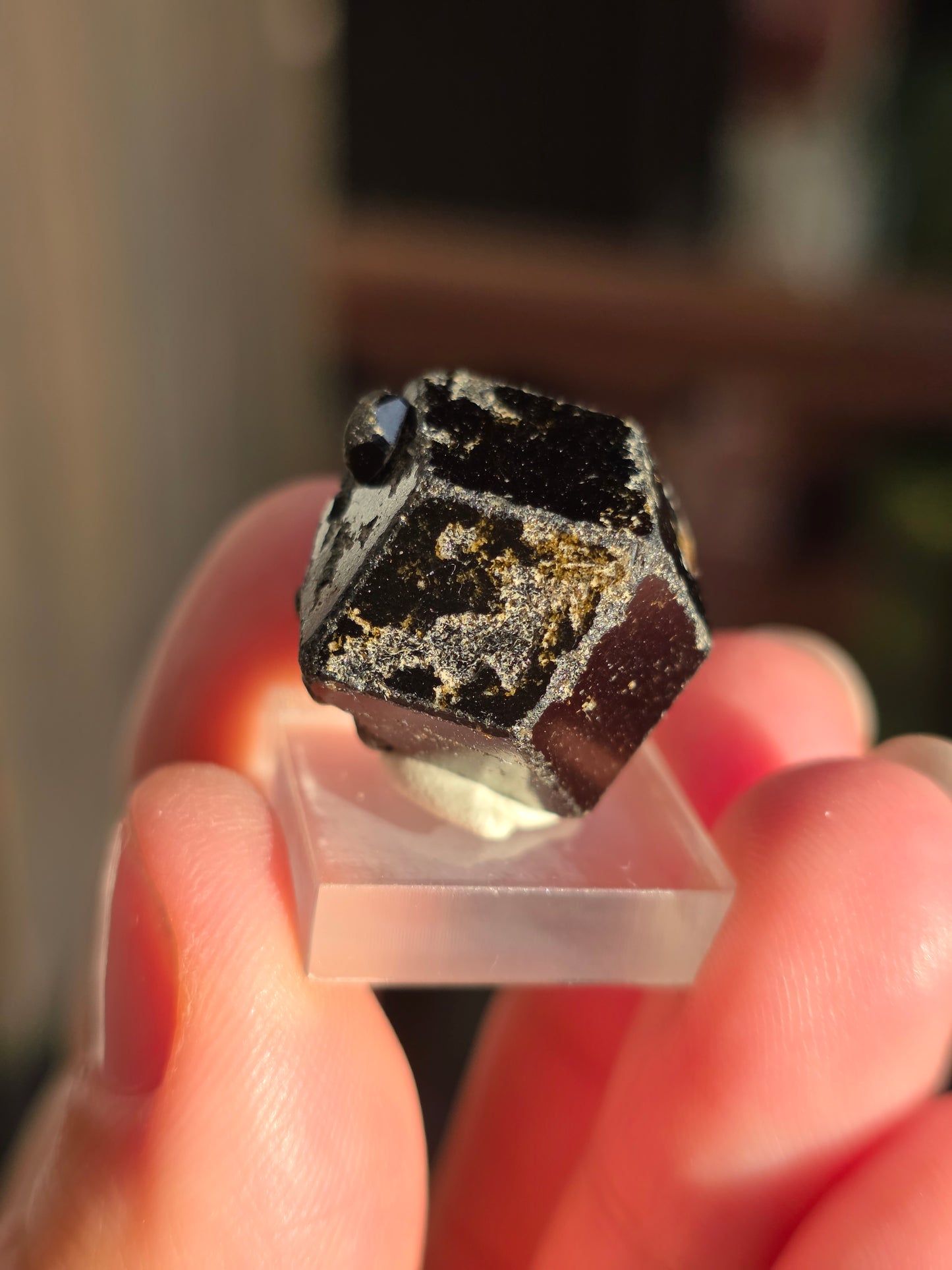 Grenat Mélanite du Mali n°5