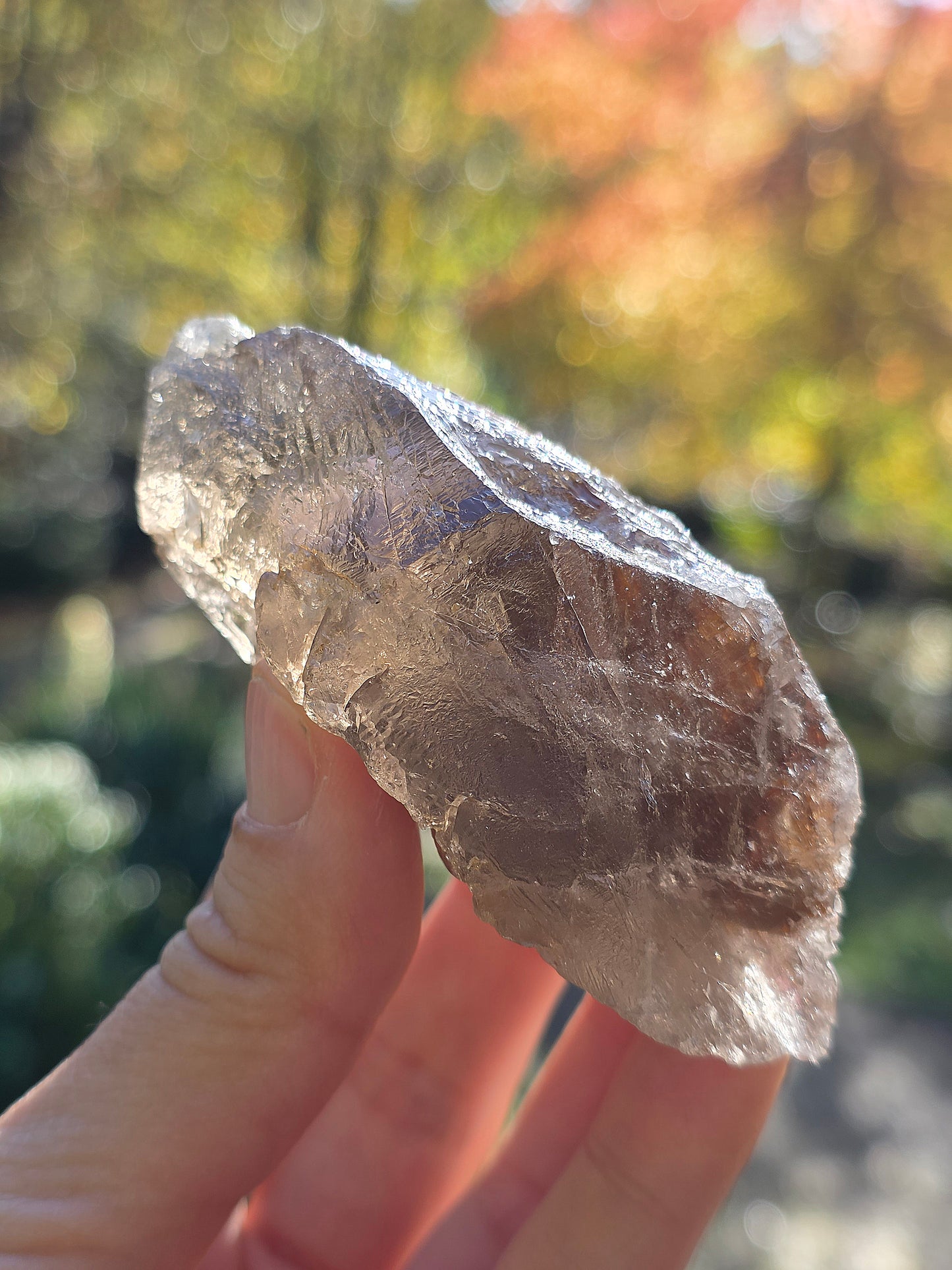 Quartz Sagénite n°1