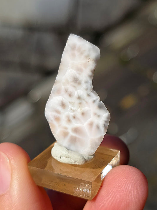 Natrolite d'Indonésie (à choisir)