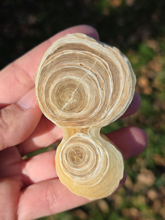 Calcite et Aragonite (à choisir)