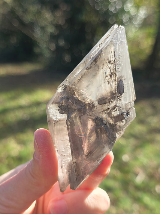 Gypse de Sinard n°4