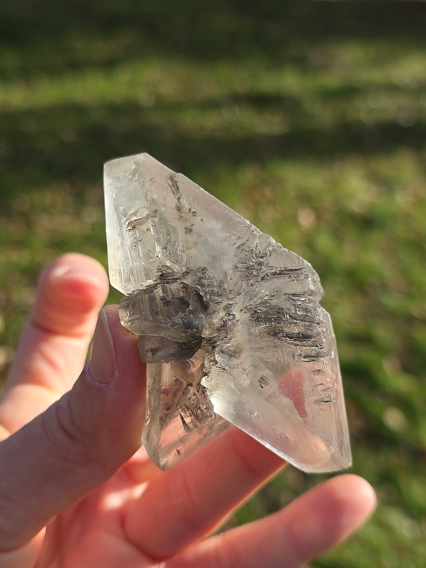 Gypse de Sinard n°5