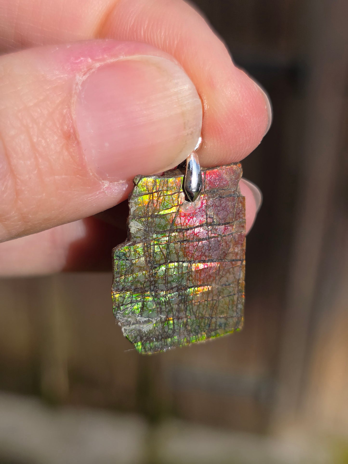 Pendentif en Ammolite B