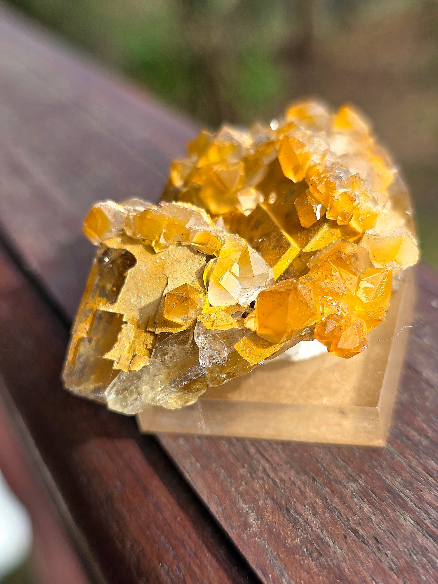 Fluorine jaune de Peyrebrune dans le Tarn aux cristaux cubiques