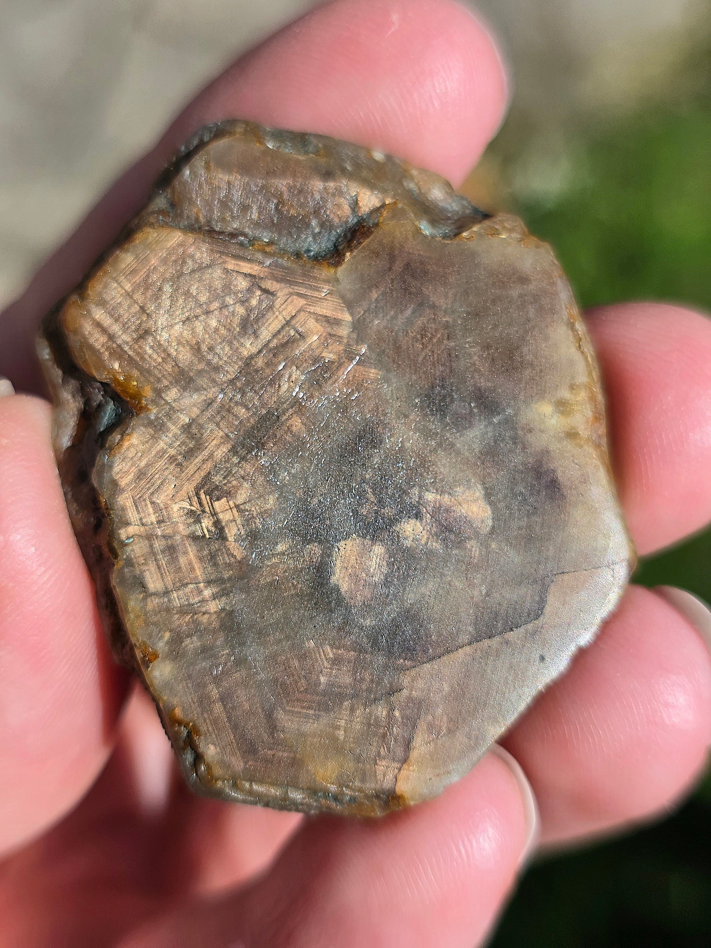 Saphir brun doré de Thaïlande n°2