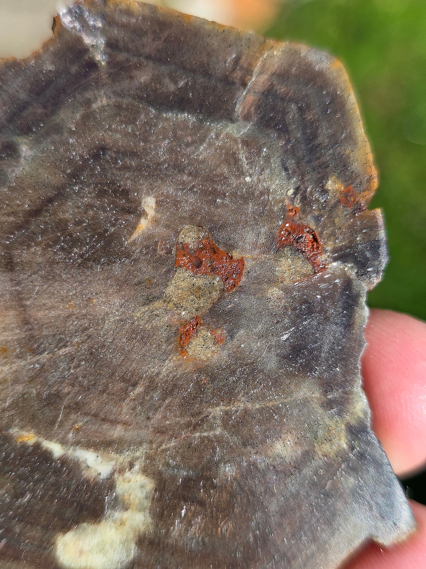 Saphir brun doré de Thaïlande n°4