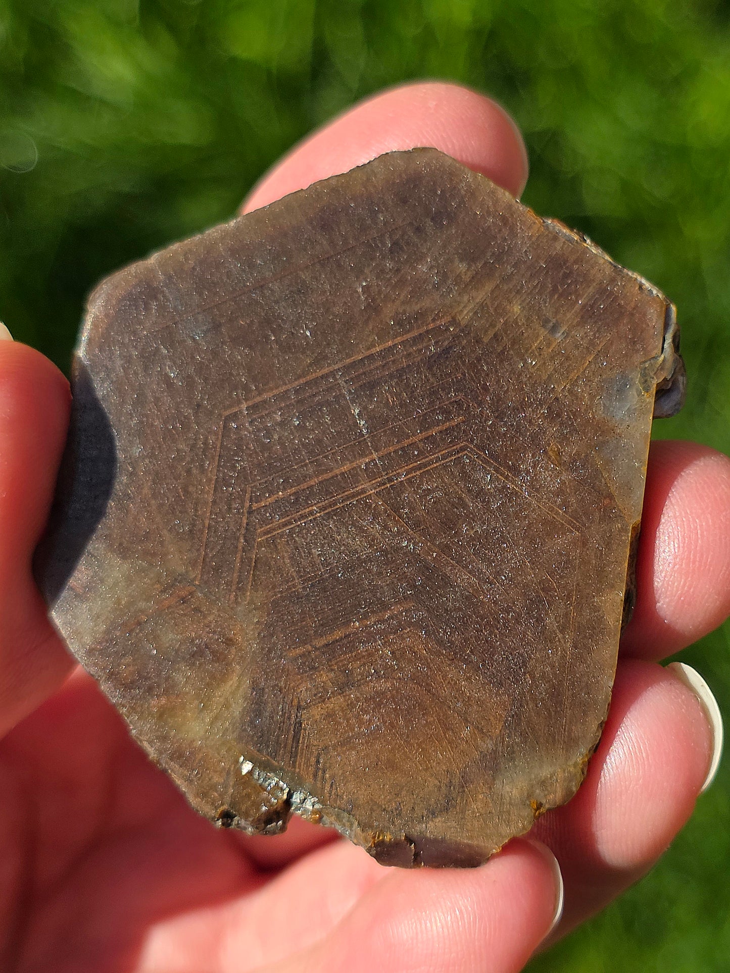 Saphir brun doré de Thaïlande n°5