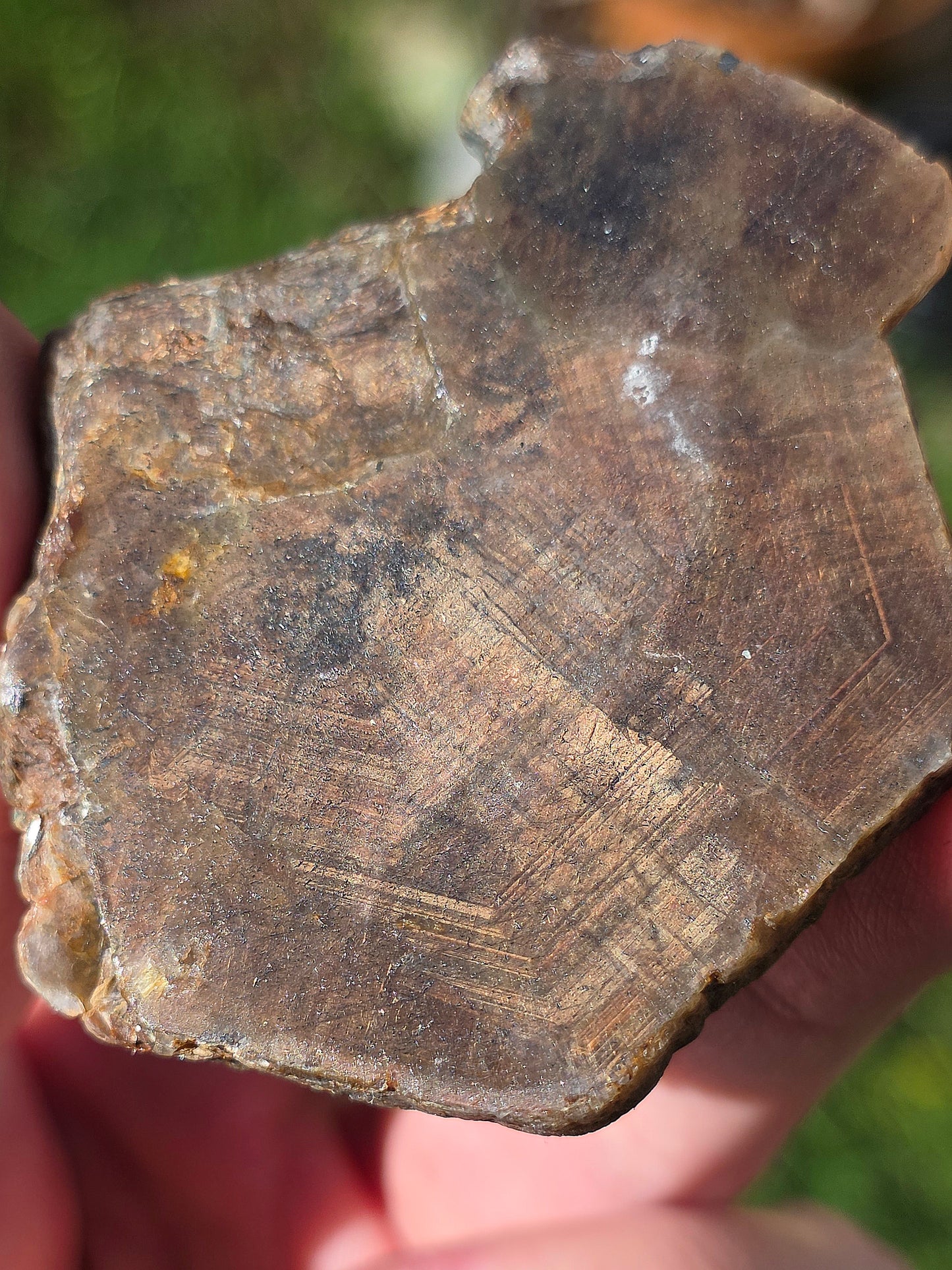 Saphir brun doré de Thaïlande n°6