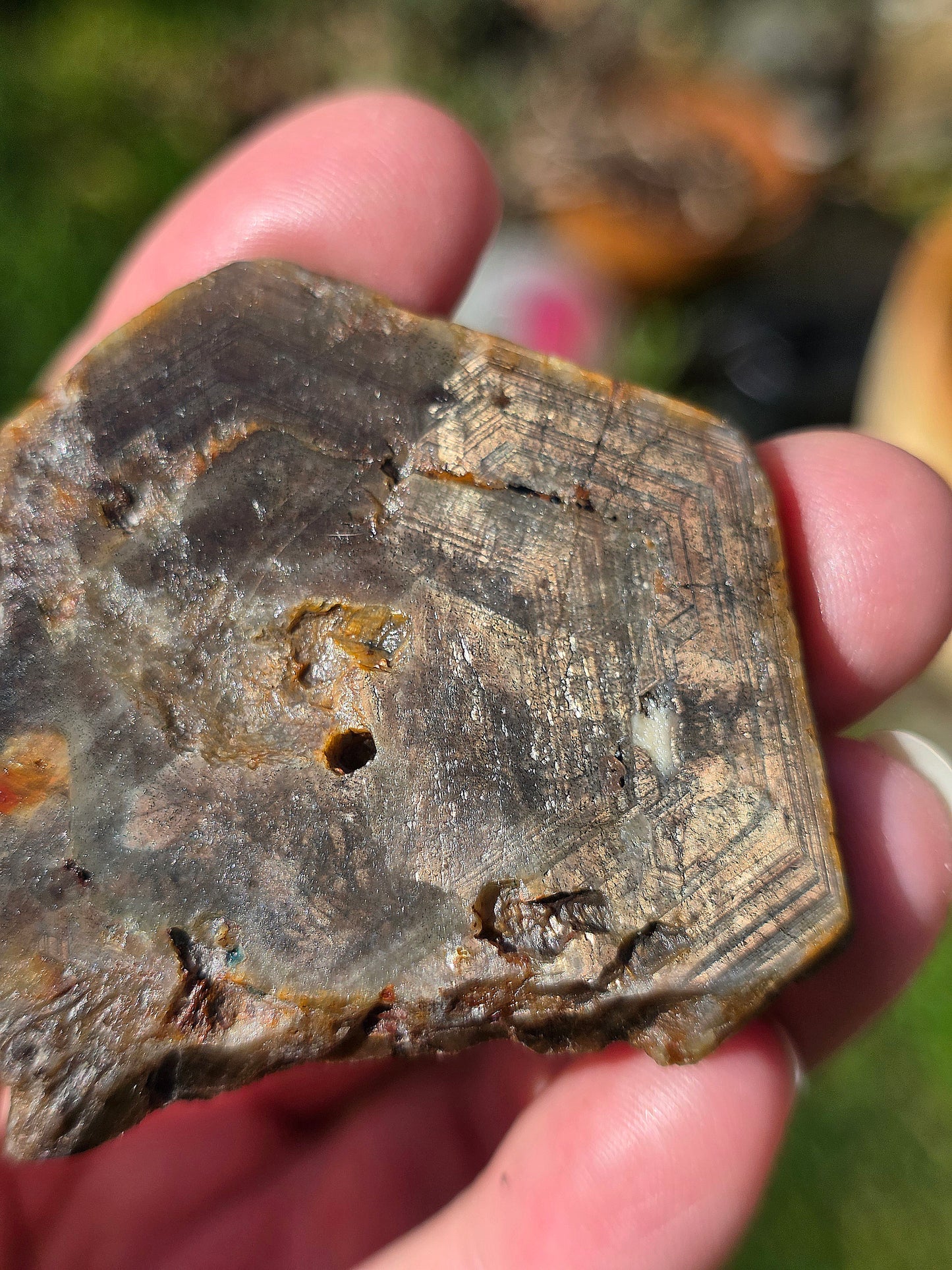 Saphir brun doré de Thaïlande n°7