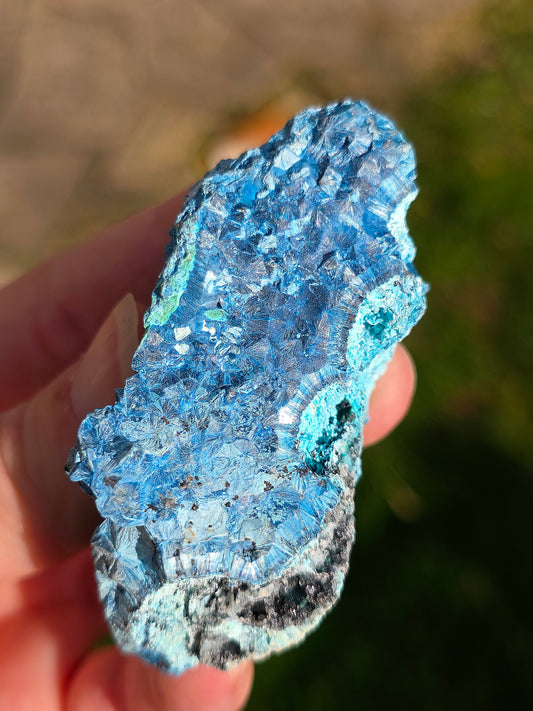 Shattuckite fibreuse du Congo brute