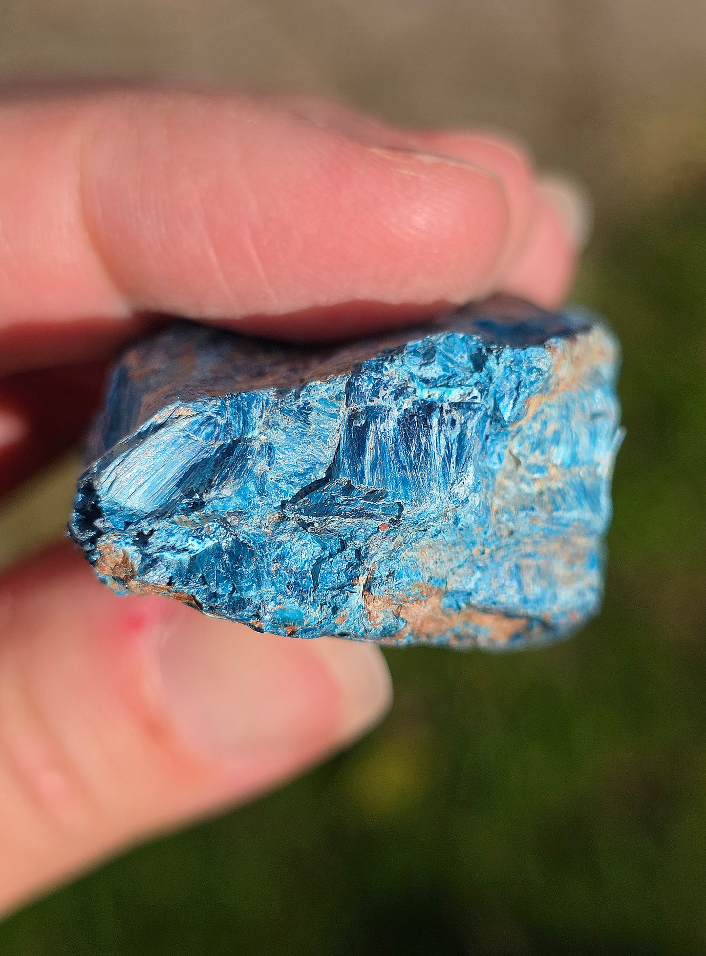 Shattuckite fibreuse du Congo n°8