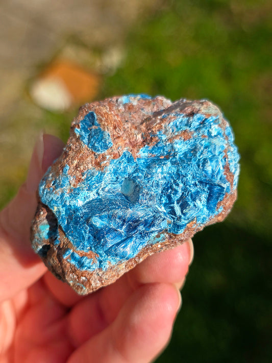 Shattuckite fibreuse du Congo brute