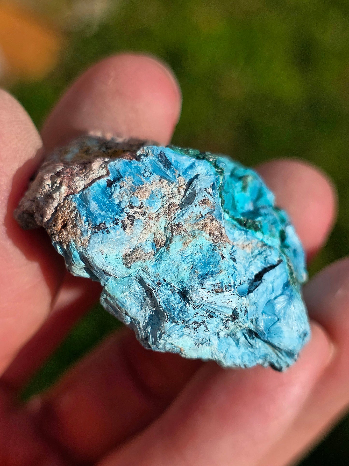 Shattuckite fibreuse du Congo n°13