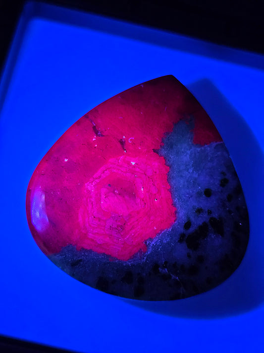 Zoïsite à Rubis de Tanzanie et réactif à la lumière ultra-violette.