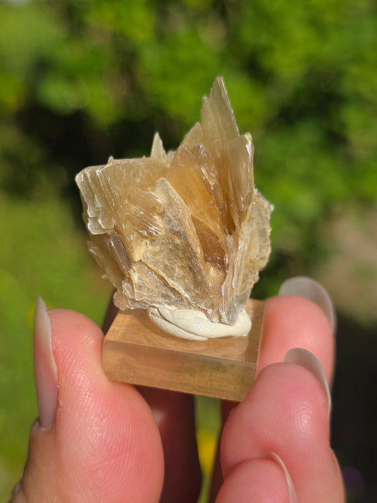 Mica étoilé du Brésil