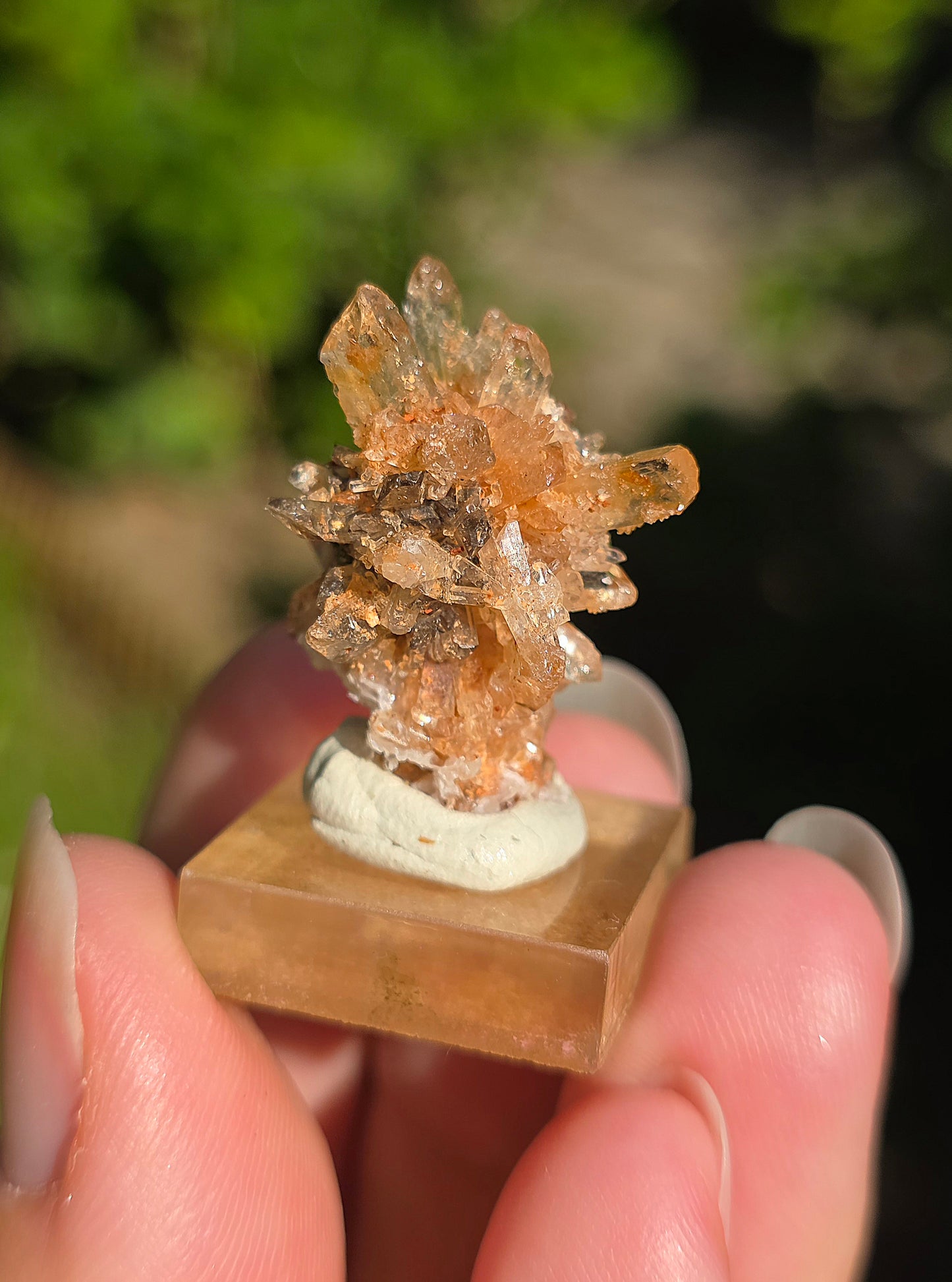 Creedite du Mexique