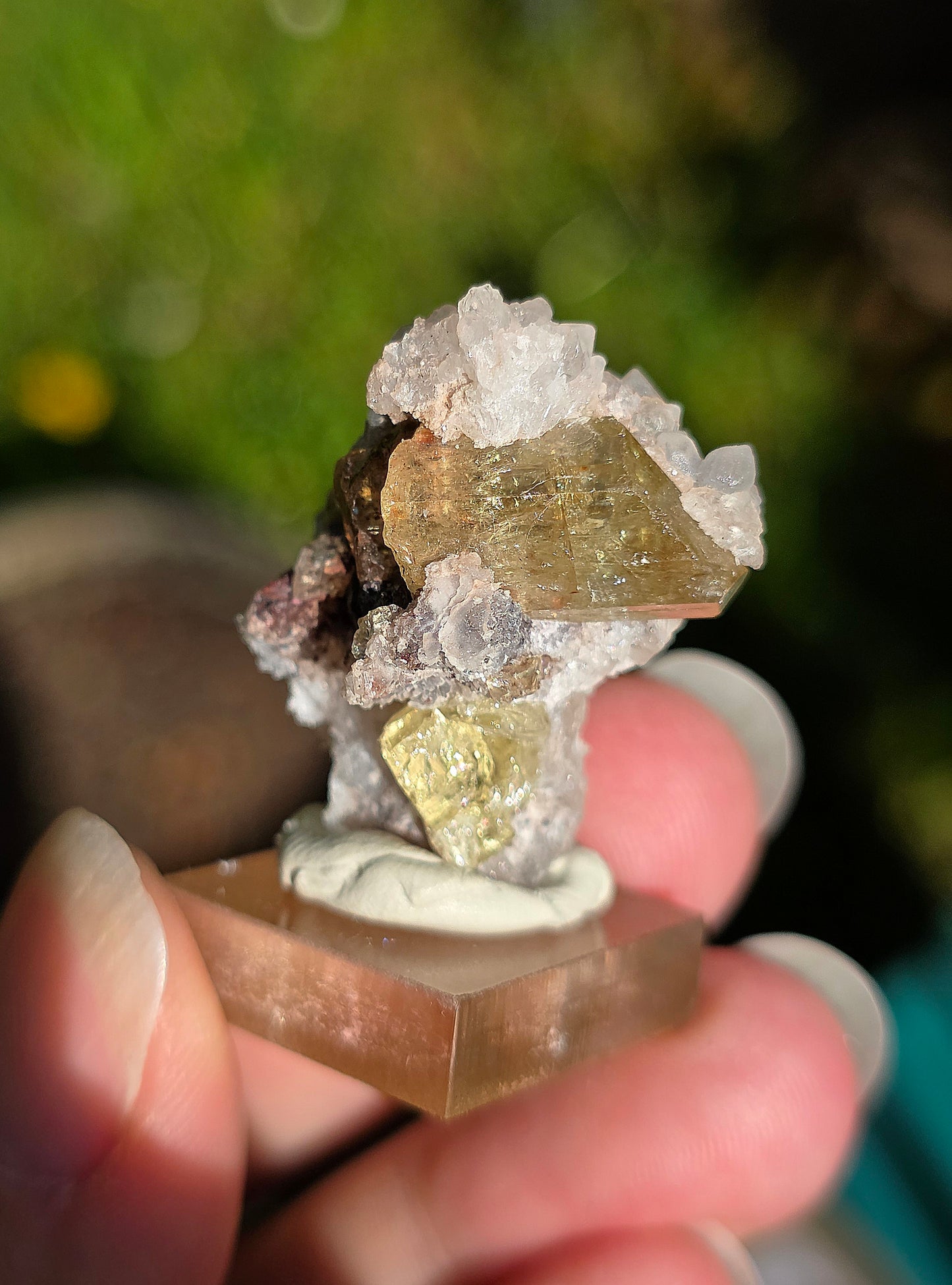 Apatite jaune du Mexique