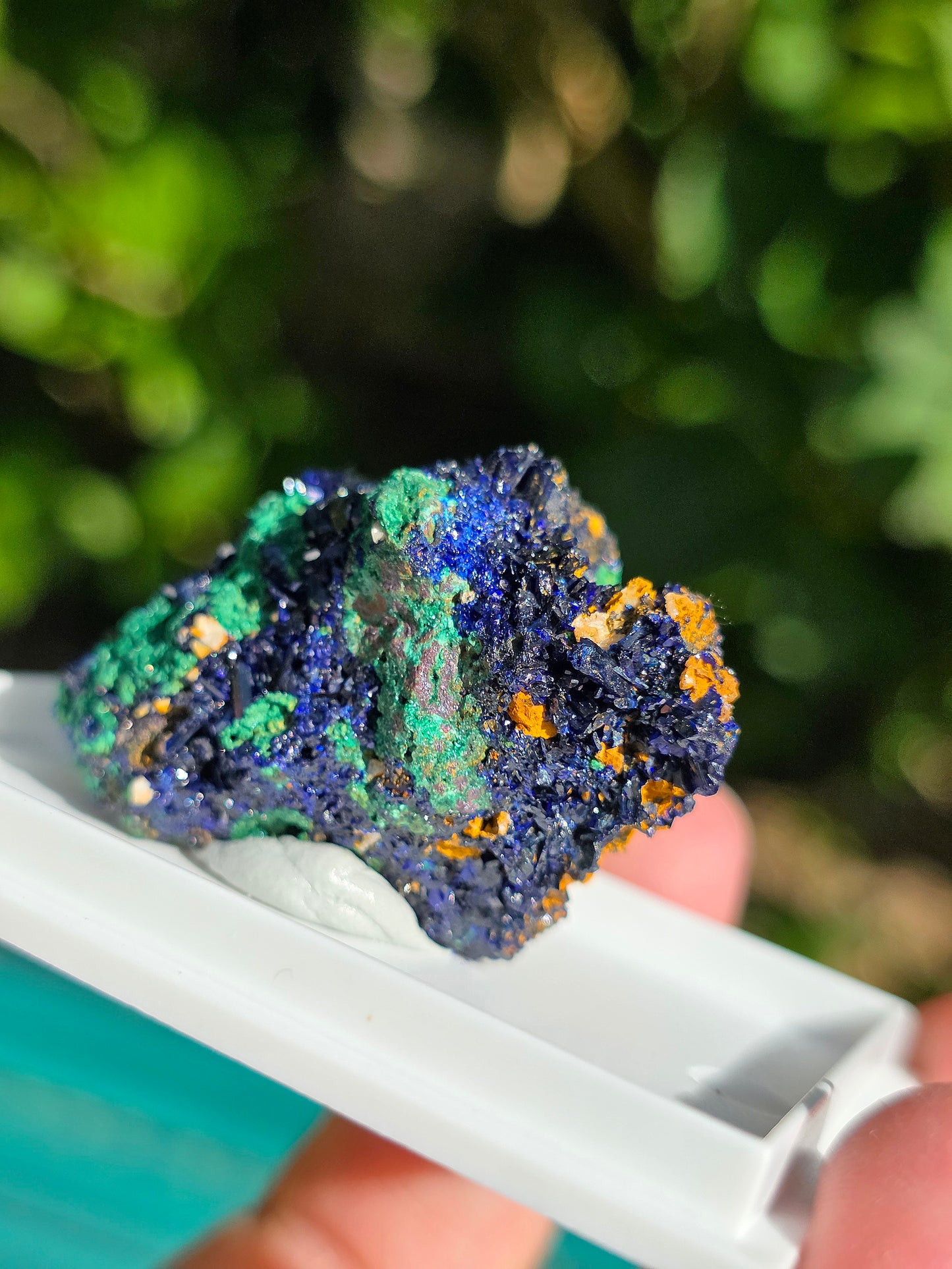 Azurite avec Malachite du Maroc