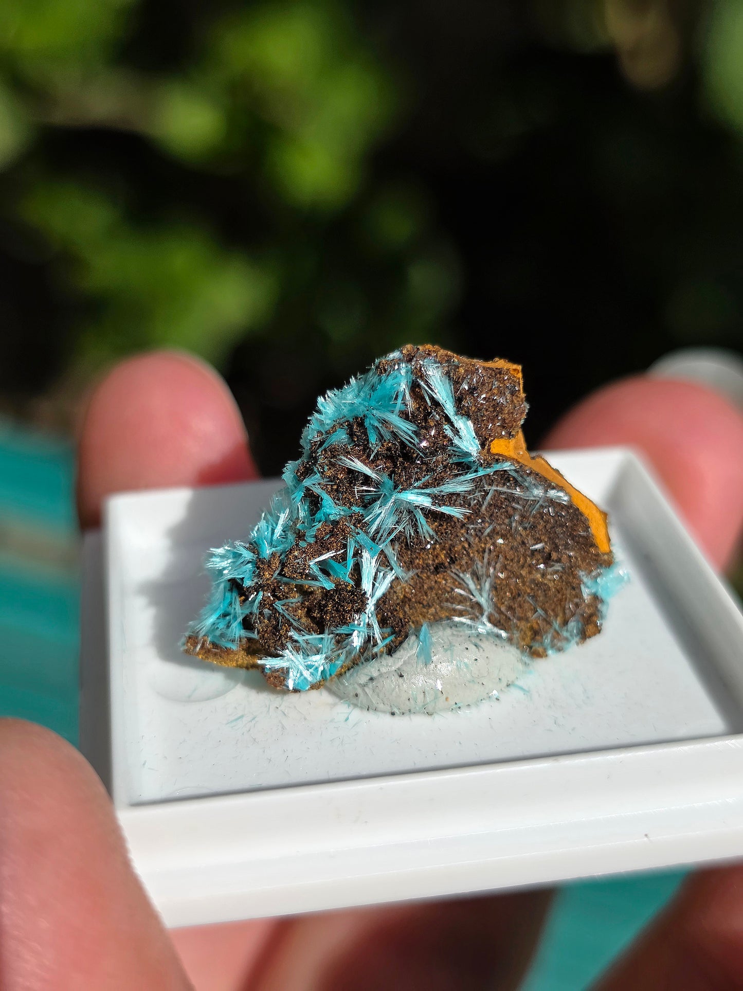 Aurichalcite brute sur une gangue de Limonite