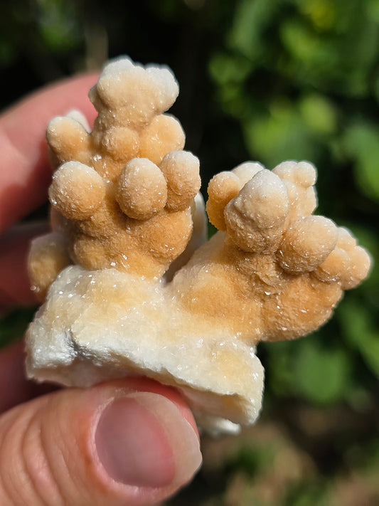 Aragonite botryoïdale cristallisée du Maroc