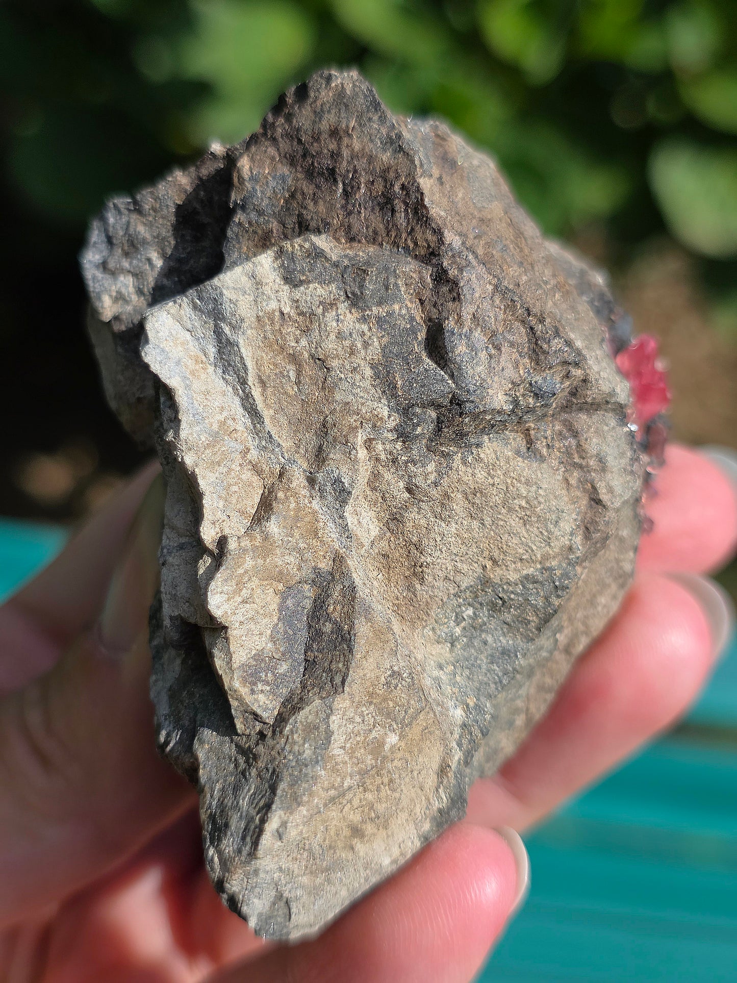 Grosse Rhodochrosite brute d'Argentine n°8