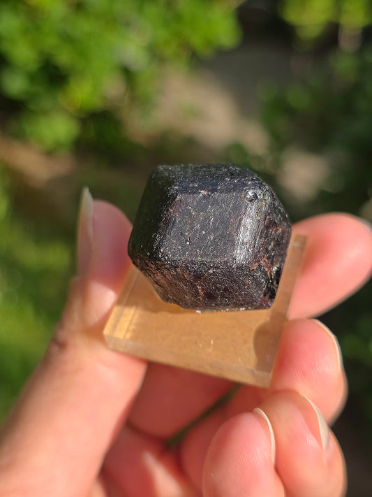 Grenat almandin brut Himalaya