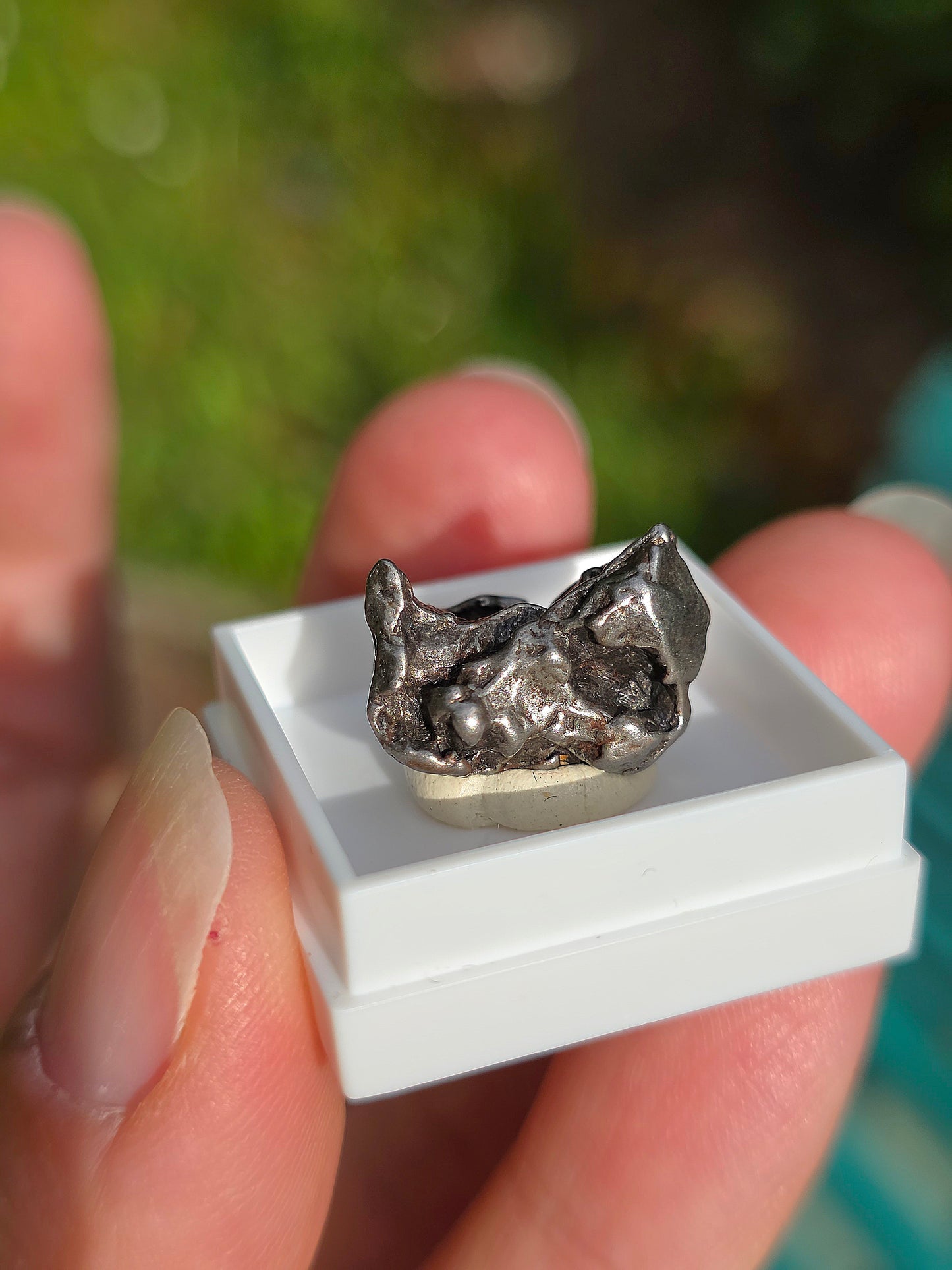 Fragment de météorite d'Argentine Campo del cielo